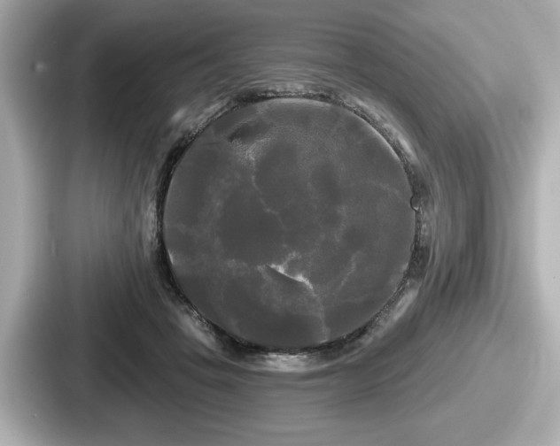 X0000087630457200705101031