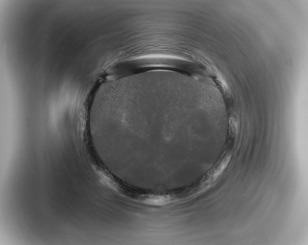 X0000087630458200705101031