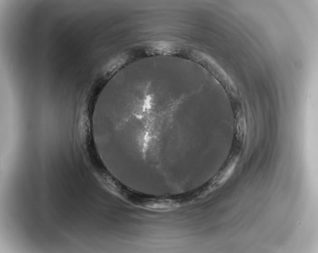 X0000087630459200705101031