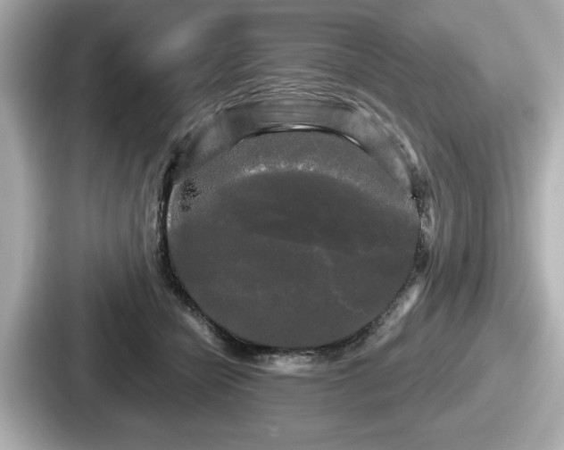 X0000087630462200705101031