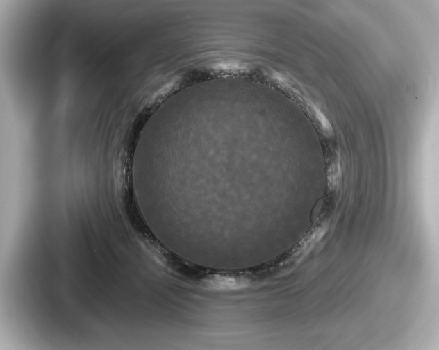 X0000087630464200705101031