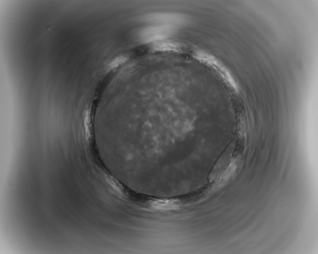 X0000087630465200705101031