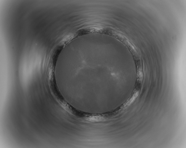 X0000087630468200705101031