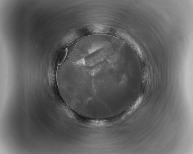 X0000087630469200705101031