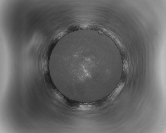 X0000087630470200705101031