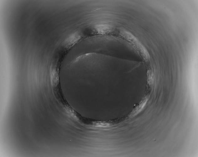 X0000087630471200705101031