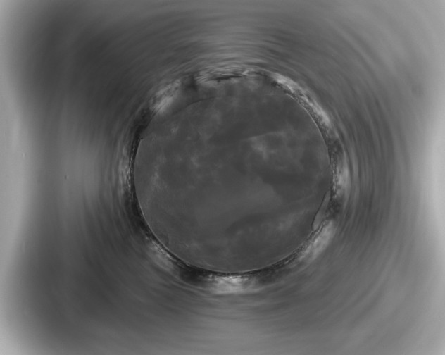 X0000087630473200705101031