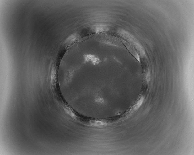 X0000087630475200705101031