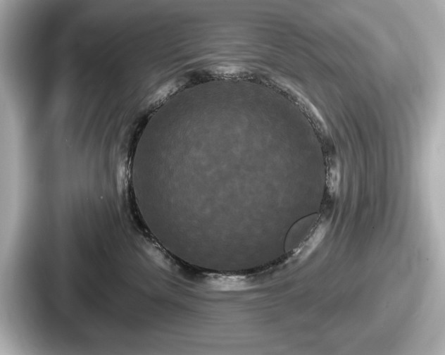 X0000087630476200705101031