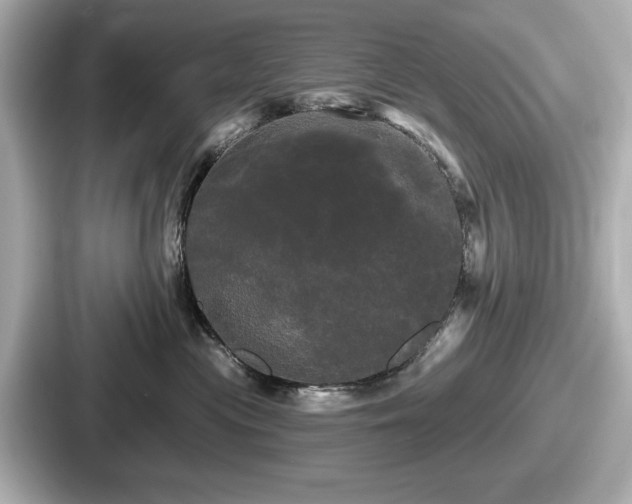 X0000087630477200705101031