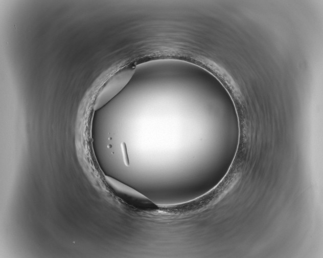 X0000087630481200705101031