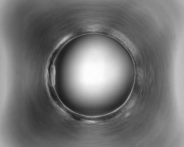 X0000087630482200705101031