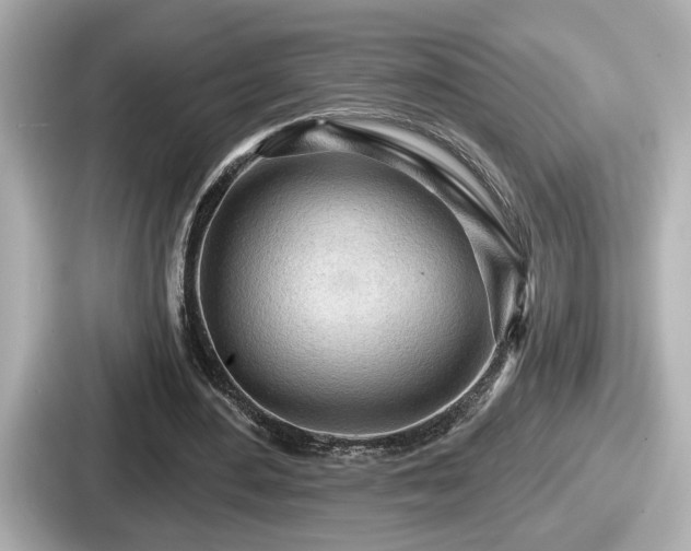 X0000087630484200705101030