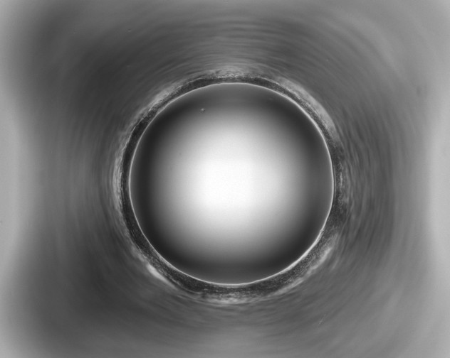 X0000087630485200705101030