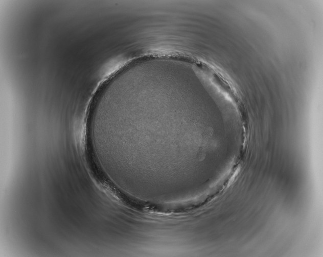 X0000087630488200705101030