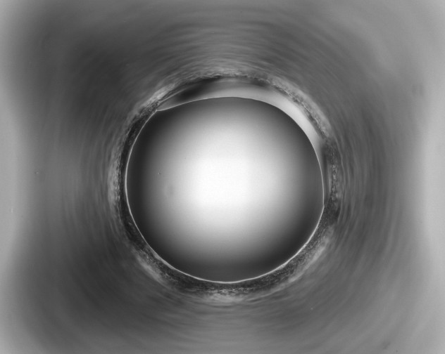 X0000087630489200705101030