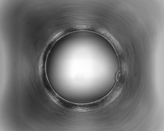 X0000087630490200705101030