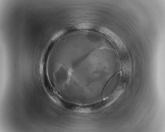 X0000087630491200705101030