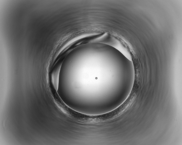 X0000087630493200705101030