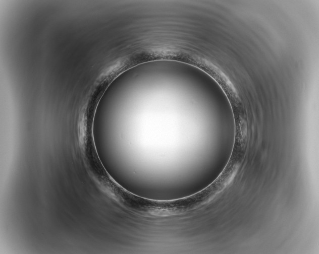 X0000087630494200705101030