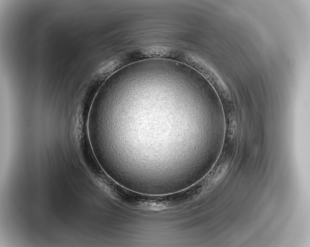 X0000087630498200705101030