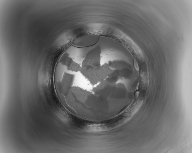 X0000087630499200705101030