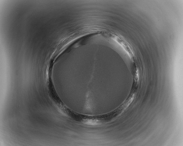 X0000087630500200705101030