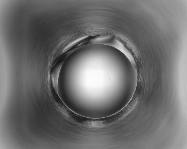 X0000087630501200705101030