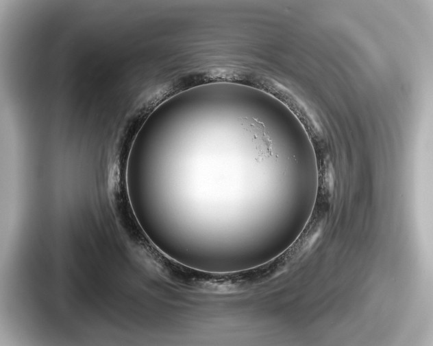 X0000087630502200705101030