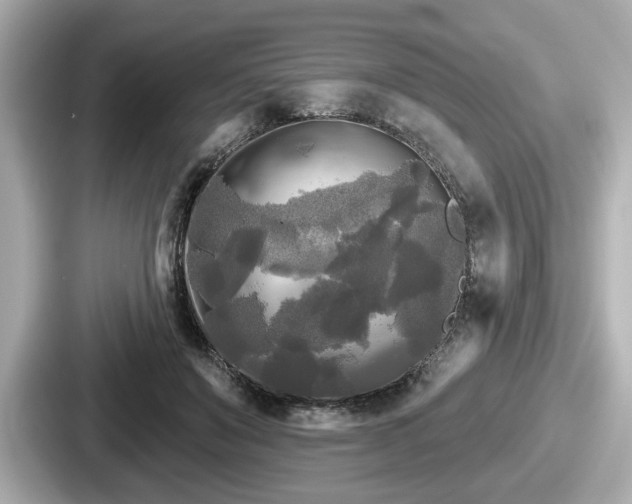 X0000087630503200705101030