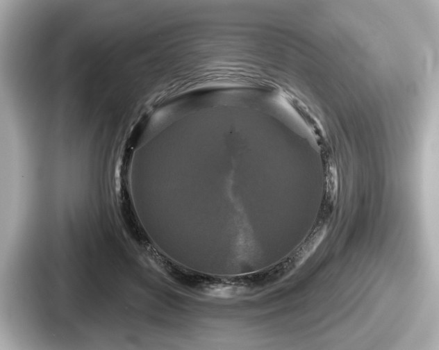 X0000087630504200705101030