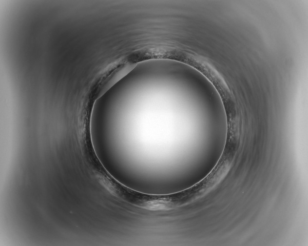 X0000087630505200705101030