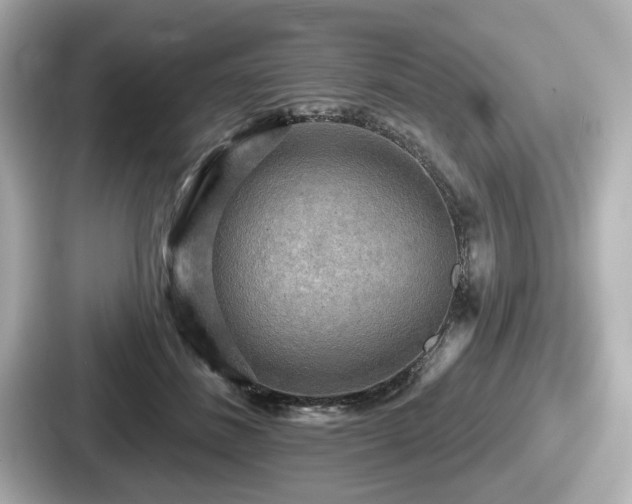 X0000087630508200705101030