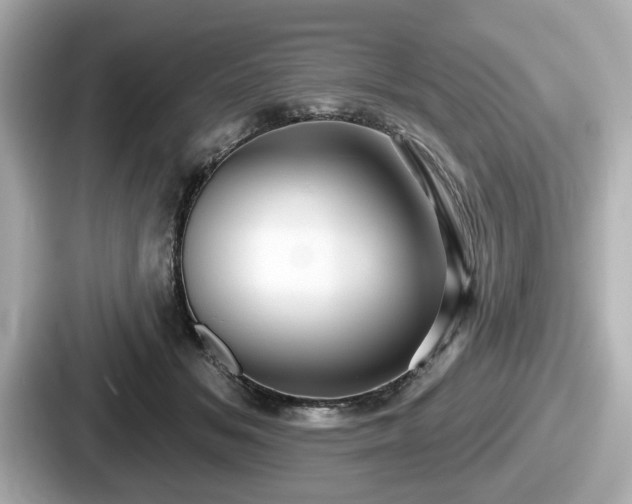 X0000087630509200705101030