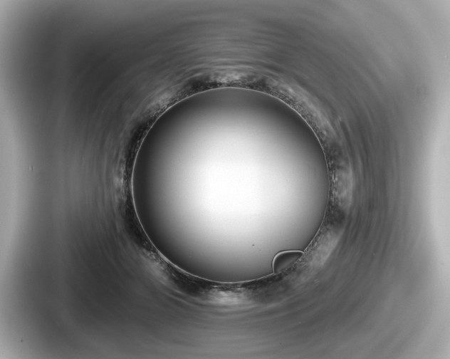 X0000087630510200705101030