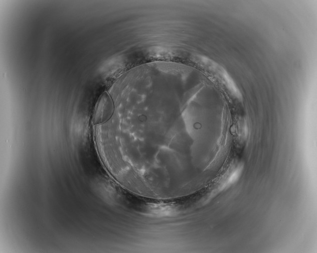 X0000087630511200705101030