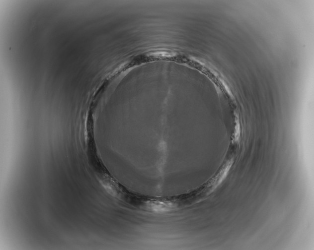 X0000087630512200705101030