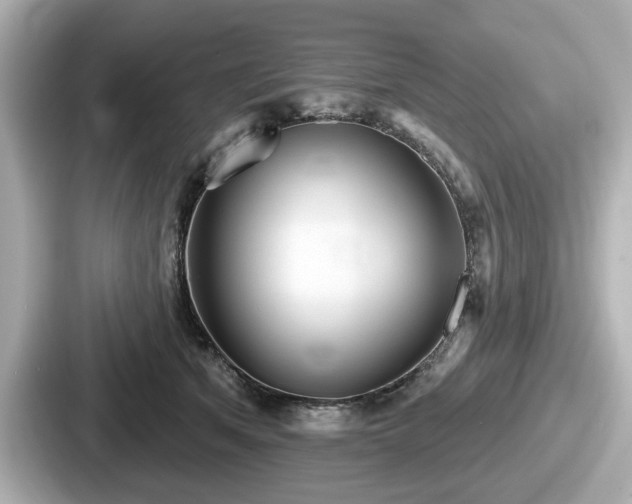 X0000087630513200705101030