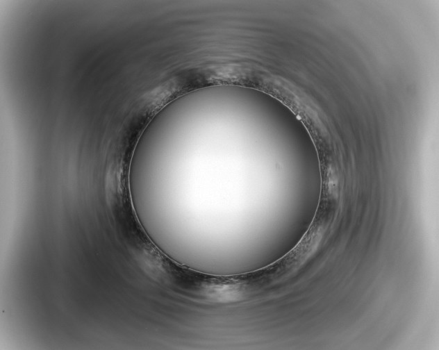 X0000087630514200705101030