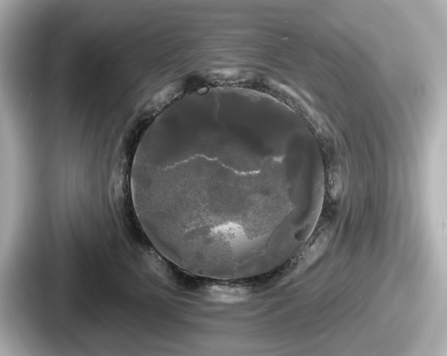 X0000087630515200705101030