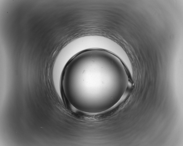 X0000087630516200705101030