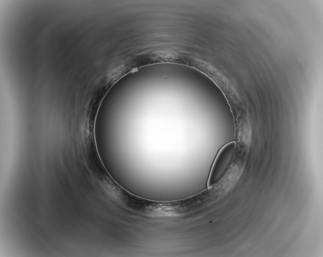 X0000087630518200705101030