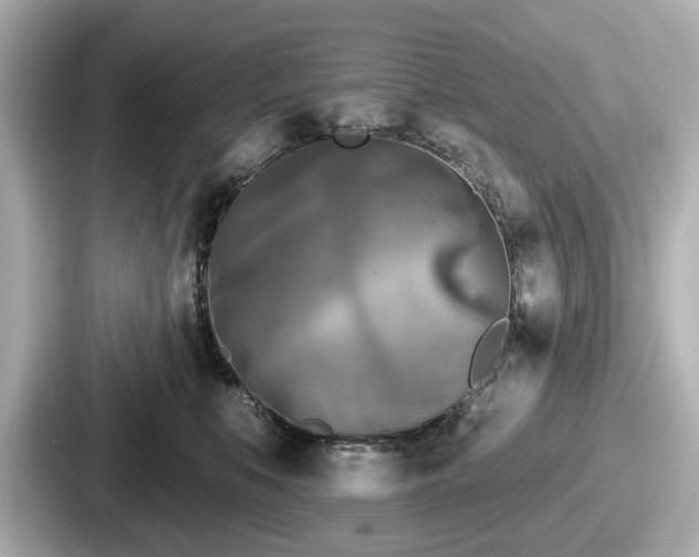 X0000087630519200705101030