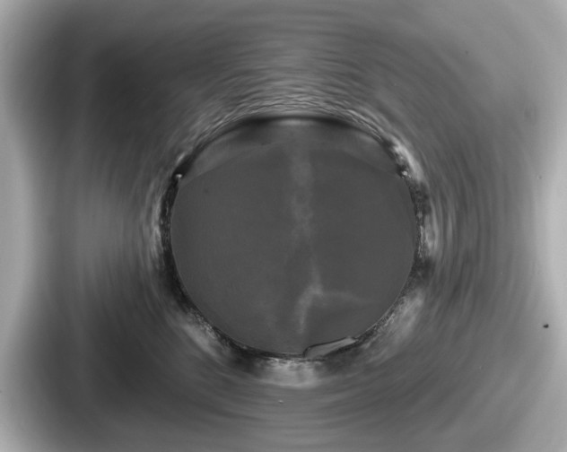 X0000087630520200705101030