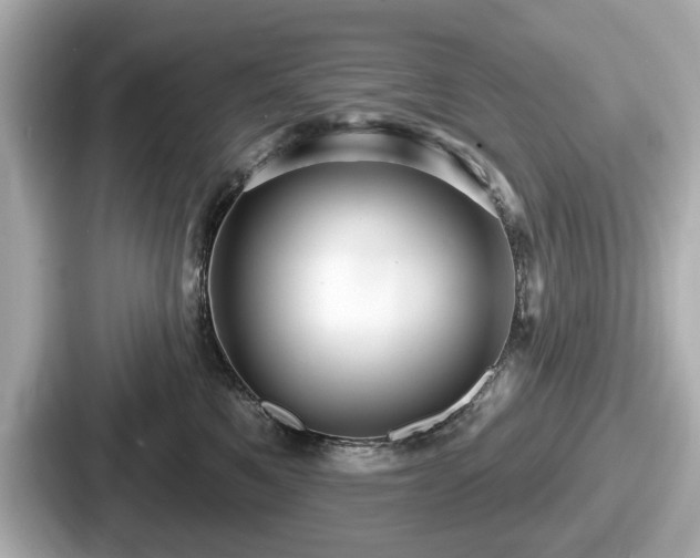 X0000087630521200705101030