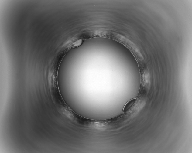 X0000087630522200705101030