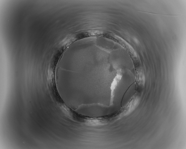 X0000087630523200705101030