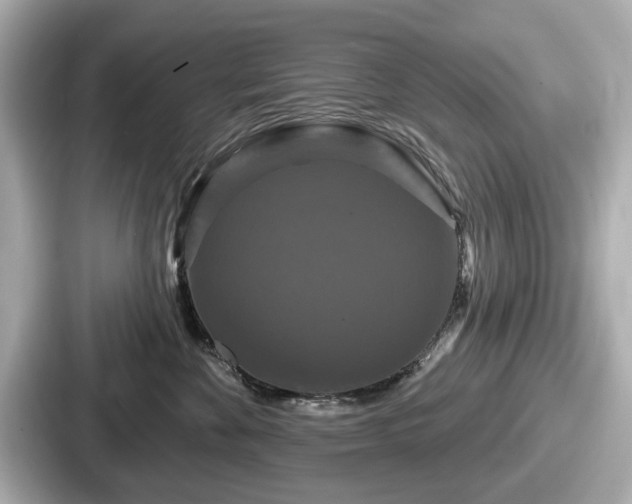 X0000087630524200705101030