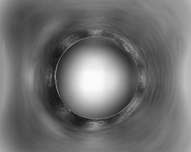 X0000087630525200705101030