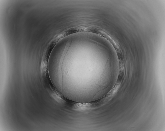 X0000087630526200705101030